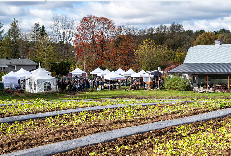 Domaine Ives Hill